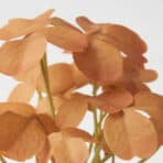 FEJKA Artificial potted plant w pot, set of 3, in/outdoor leaves, 6 cm - Image 5