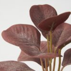 FEJKA Artificial potted plant w pot, set of 3, in/outdoor leaves, 6 cm - Image 7