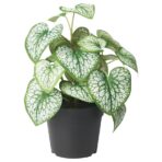 FEJKA Artificial potted plant, in/outdoor Caucasian forget-me-not, 9 cm