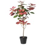 FEJKA Artificial potted plant, in/outdoor smoke tree, 12 cm