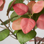 FEJKA Artificial potted plant, in/outdoor smoke tree, 12 cm - Image 4