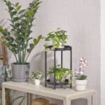 FEJKA Artificial potted plant, in/outdoor/Wax plant hanging, 9 cm - Image 2