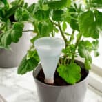 SVÄMSKOG Self-watering insert, terracotta/transparent, 25 cl - Image 2
