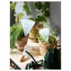 SVÄMSKOG Self-watering insert, terracotta/transparent, 25 cl - Image 4
