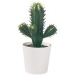 FEJKA Artificial potted plant, in/outdoor Cactus, 6 cm