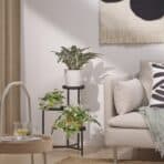 FEJKA Artificial potted plant, in/outdoor calathea, 15 cm - Image 4