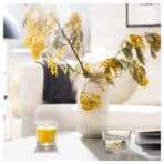 SVARTOXBÄR Scented candle in glass, Mimosa/yellow, 25 hr - Image 3