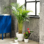 FÖRENLIG Plant pot, in/outdoor white, 9 cm - Image 3