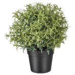 FEJKA Artificial potted plant, Rosemary, 9 cm
