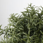 FEJKA Artificial potted plant, Rosemary, 9 cm - Image 3