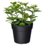 FEJKA Artificial potted plant, in/outdoor Mint, 9 cm