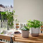 BUSKKAPRIFOL Plant pot, in/outdoor/grey, 9 cm - Image 3