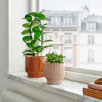 HONUNGSPALM Plant pot, in/outdoor/beige, 9 cm - Image 2