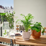 HONUNGSPALM Plant pot, in/outdoor/beige, 9 cm - Image 3