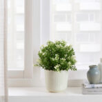 SESAMFRÖN Plant pot, in/outdoor off-white, 9 cm - Image 2