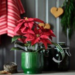 VINTERFINT Plant pot, in/outdoor/green, 12 cm - Image 2