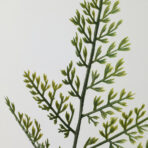 SMYCKA Artificial leaf - Image 5