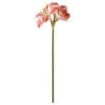 VINTERFINT Artificial flower, in/outdoor Amaryllis/red white, 60 cm