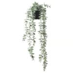 Artificial hanging eucalyptus plant for home decor and indoor gardening.