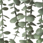 FEJKA Artificial potted plant, in/outdoor hanging/eucalyptus, 9 cm - Image 5