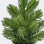 VINTERFINT Artificial potted plant, in/outdoor Christmas tree/green, 6 cm - Image 3