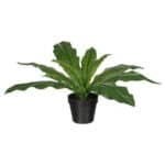 FEJKA Artificial potted plant, in/outdoor Crocodile fern, 12 cm