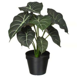 FEJKA Artificial potted plant, in/outdoor Alocasia, 12 cm