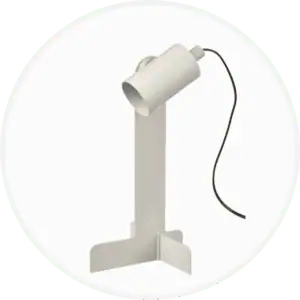 Lamp & Lighting