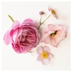 FRÖFINK Scented potpourri, pink flowers pink, 60 g - Image 2