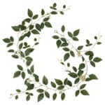 Fresh green vine plant with leaves and small flowers, suitable for decorative indoor or outdoor use.