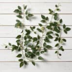 Decorative green vined leaves on white wooden background.