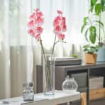 Elegant pink orchid flowers in a tall glass vase for stylish home decor and indoor flower display.