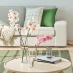 Beautiful orchids in glass vases on a modern coffee table.