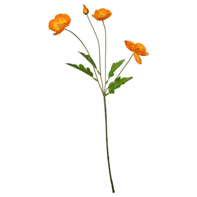 Fresh orange flower stem with green leaves, perfect for home decor and floral arrangements.