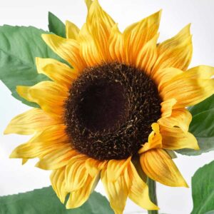 SMYCKA Artificial flower, sunflower yellow, 51 cm - Image 3