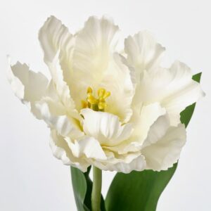 MYCKA Artificial flower, in/outdoor tulip/assorted colours, 50 cm - Image 3