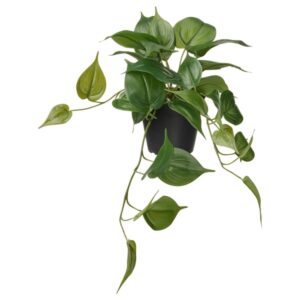 FEJKA Artificial potted plant, in/outdoor Golden Pothos/hanging, 12 cm