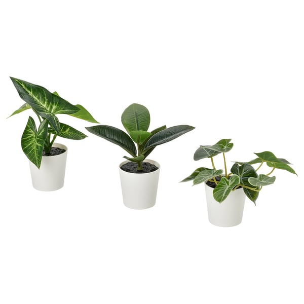fejka-artificial-potted-plant-set-of-3-in-outdoor-leaf__1512301_pe1010302_s5(1) FEJKA Artificial potted plant, set of 3, in/outdoor Succulent