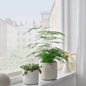 GLACIÄRBJÖRN Plant pot, white, 9 cm - Image 3