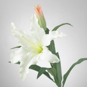 White artificial lily flower with pink-tipped petals and green leaves.