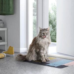 Indoor door mat with a cute cat pattern, 40x60 cm size.
